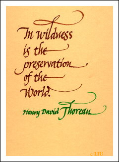 Henry David Thoreau's quote #7