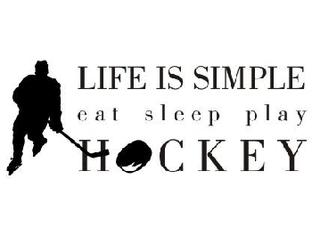 Hockey quote #6