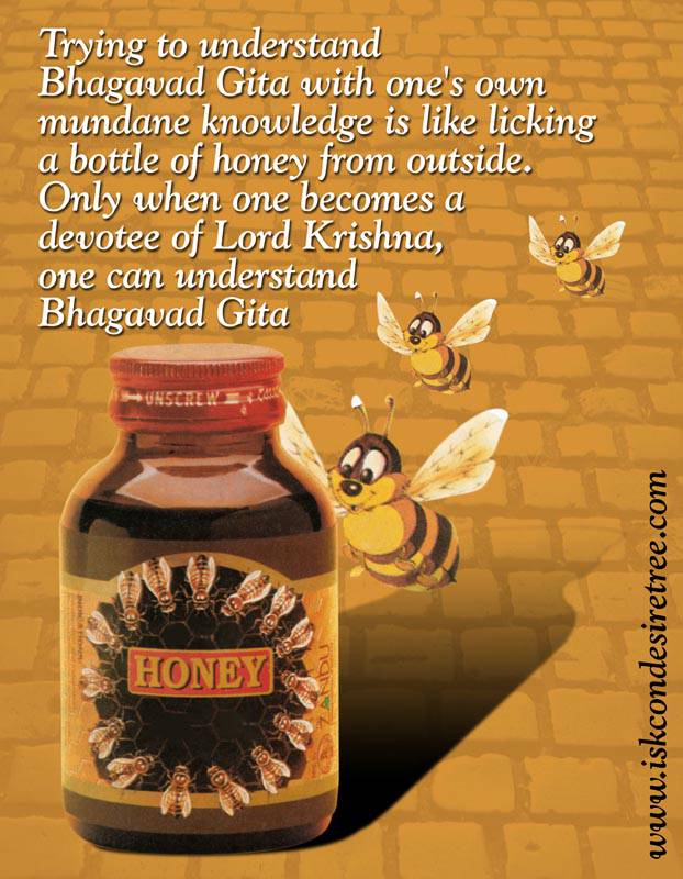 Honey quote #6