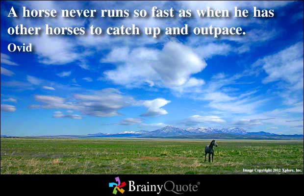 Horse Racing quote