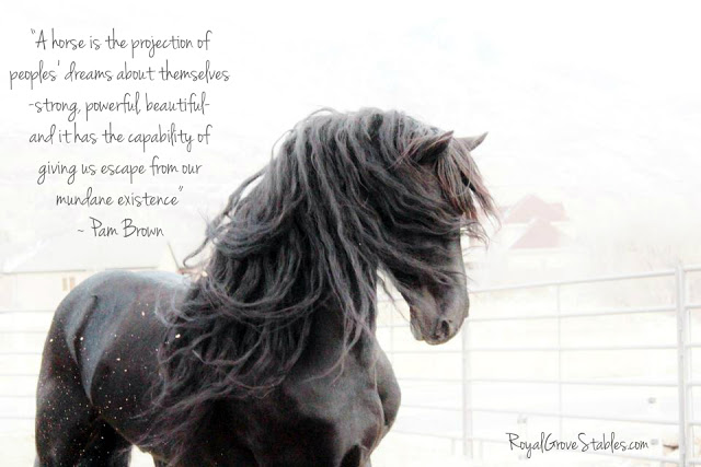 Horseback quote