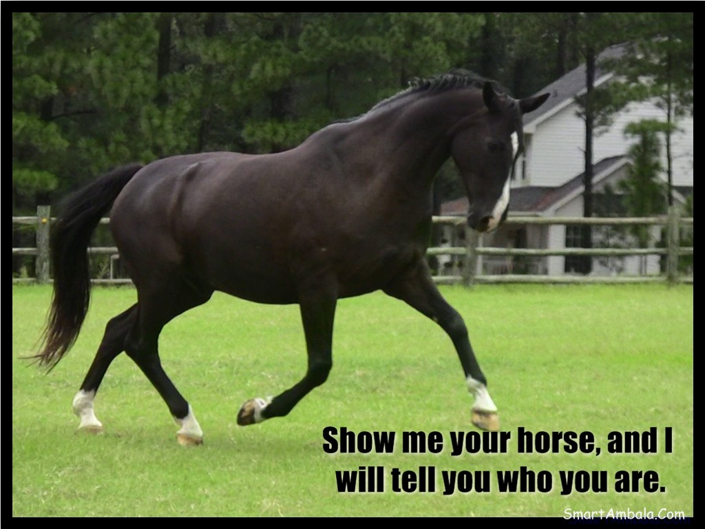 Horses quote