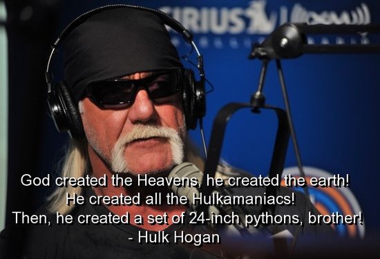 Hulk Hogan's quote #7