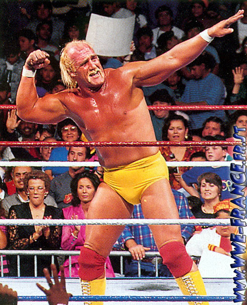 Hulk Hogan's quote #5