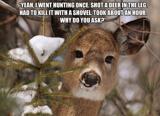 Hunting quote #4