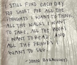 John Burroughs's quote