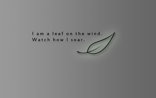 Leaf quote #2