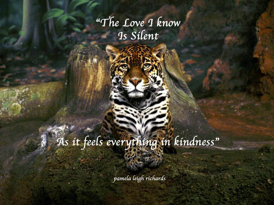 Leopard quote