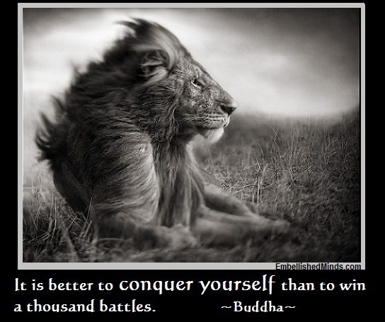 Lion quote #3