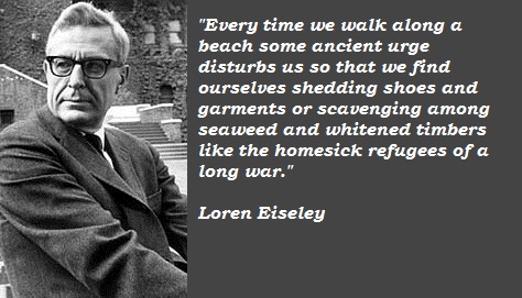 Loren Eiseley's quote #4