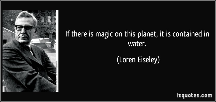 Loren Eiseley's quote #5