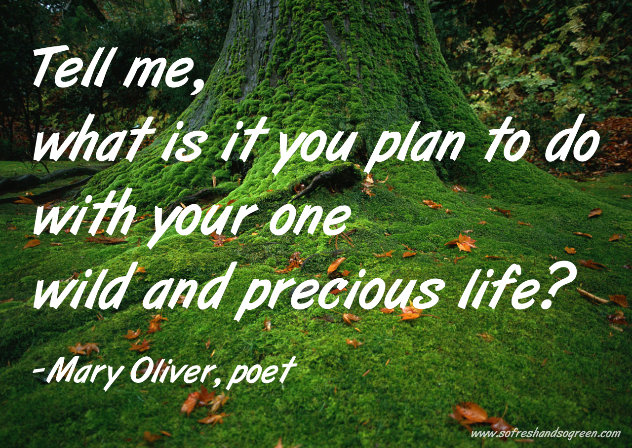 Mary Oliver's quote #7