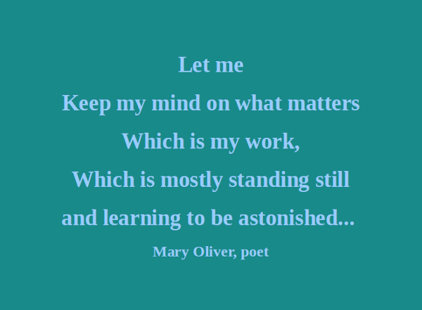Mary Oliver's quote #5