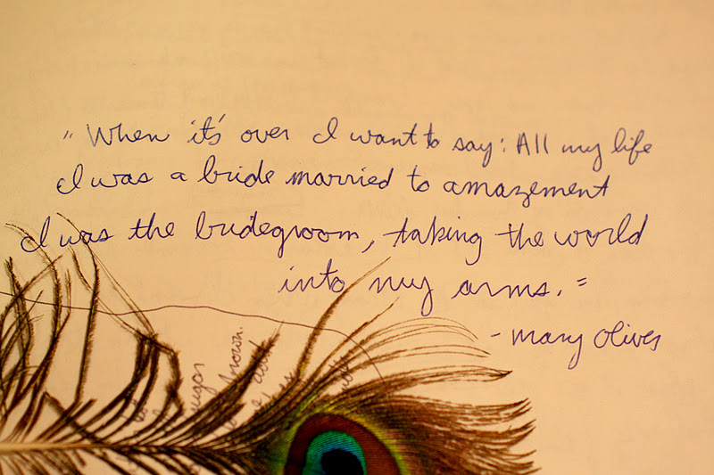 Mary Oliver's quote #6