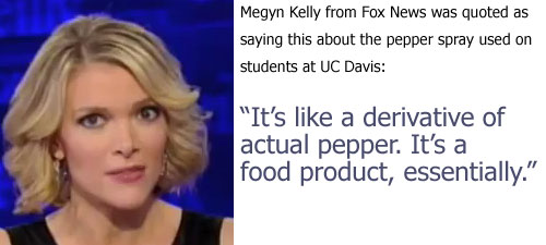 Megyn Kelly's quote #4