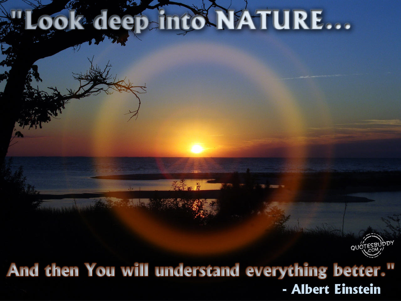 Nature quote #4