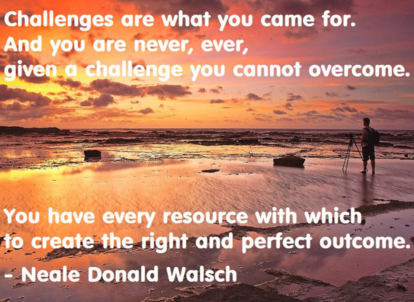 Neale Donald Walsch's quote #4