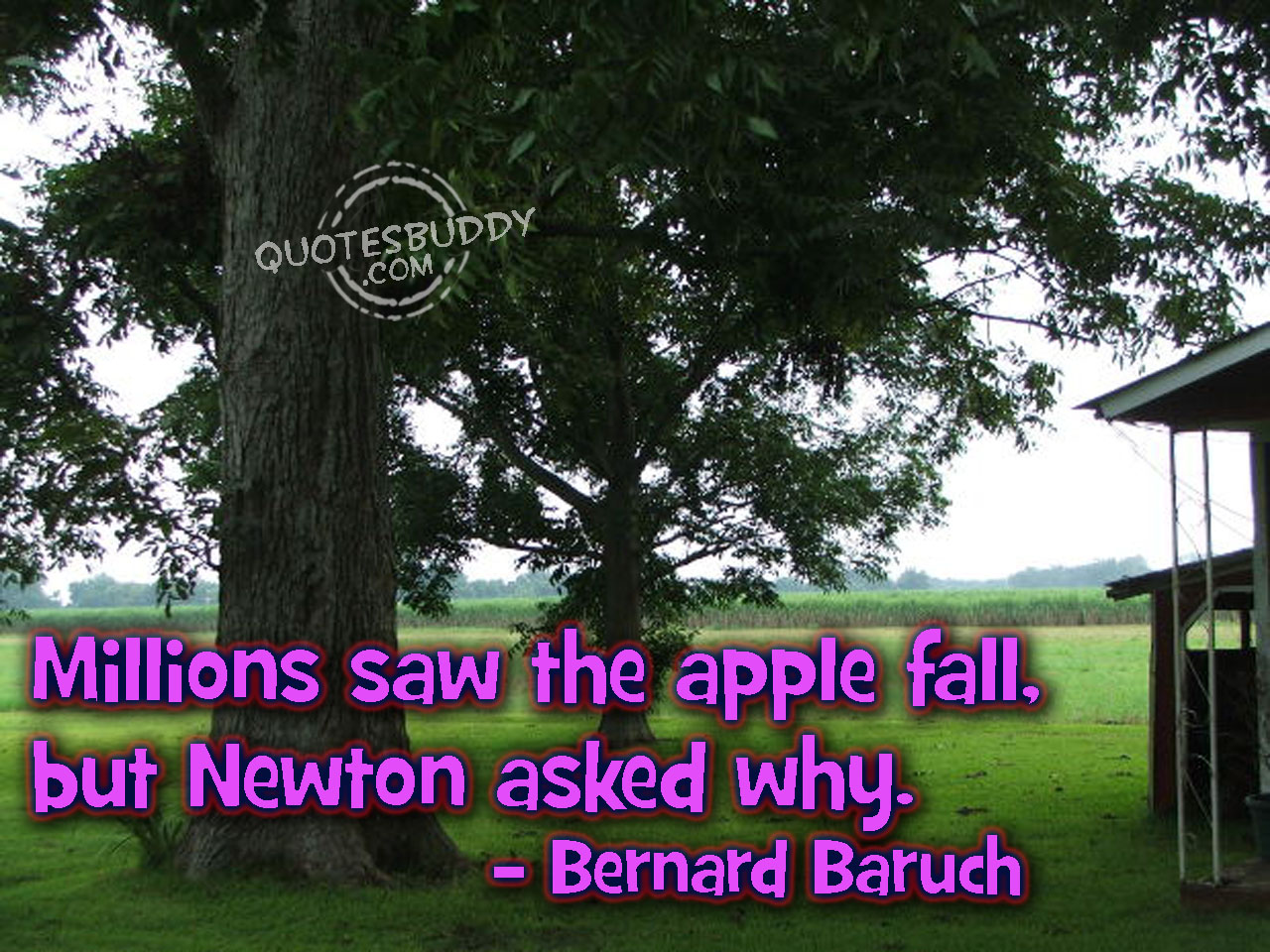 Newton quote #1
