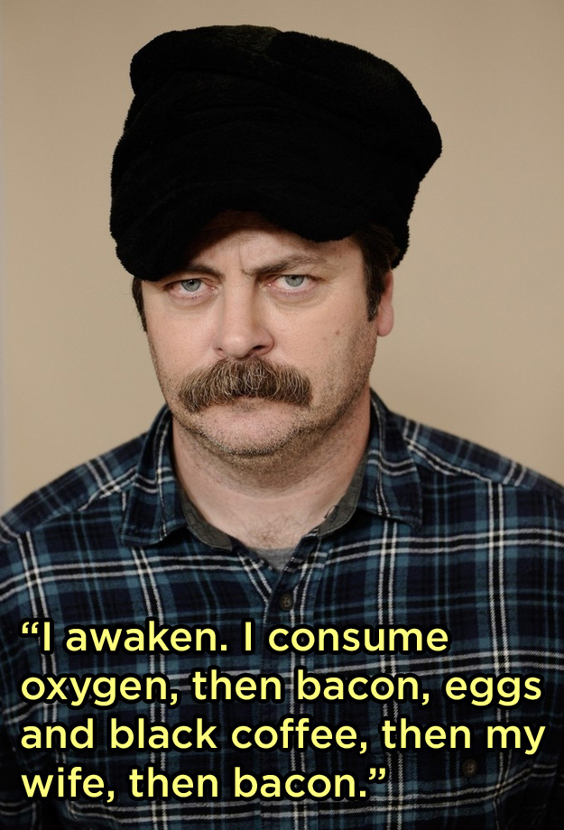 Nick Offerman's quote #5