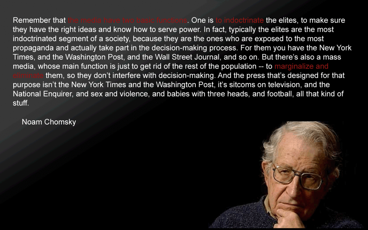 Noam Chomsky's quote
