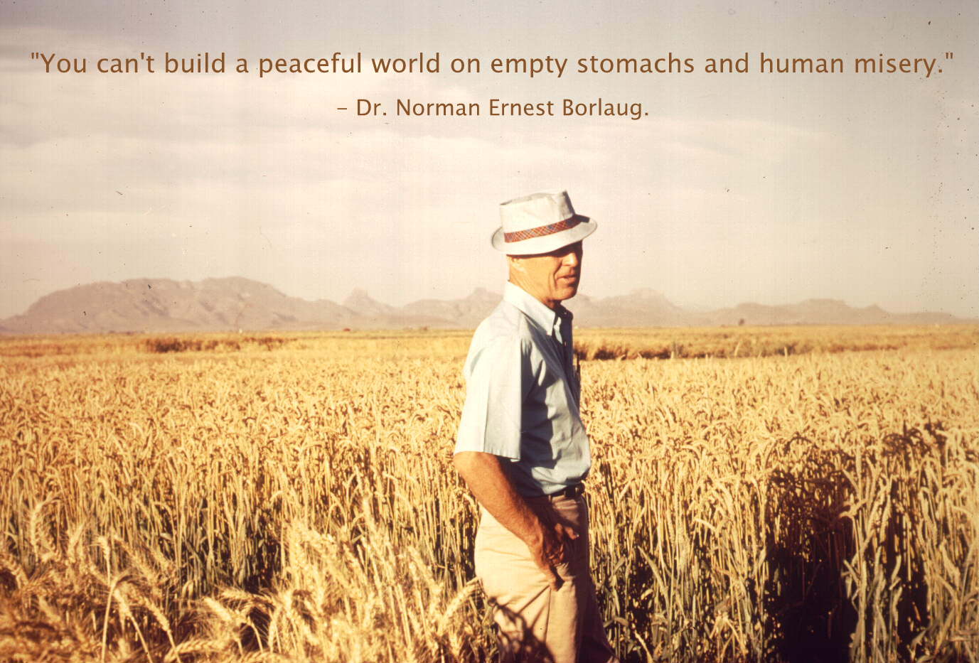 Norman Borlaug's quote