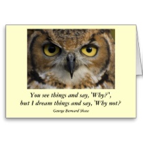 Owls quote #2