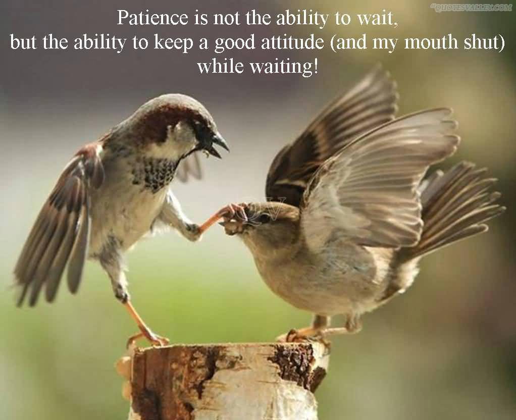 Patience quote #5
