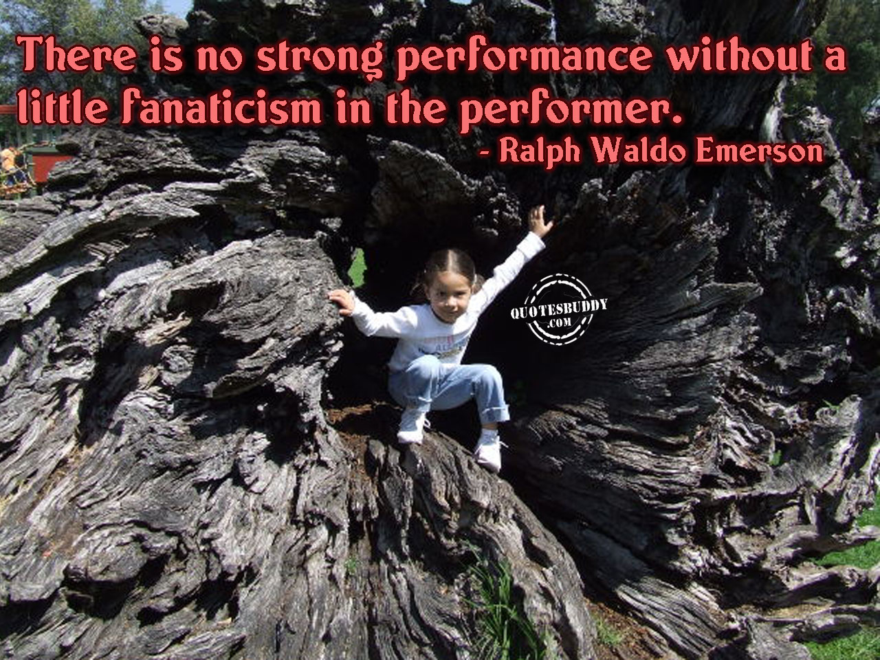 Performer quote #8