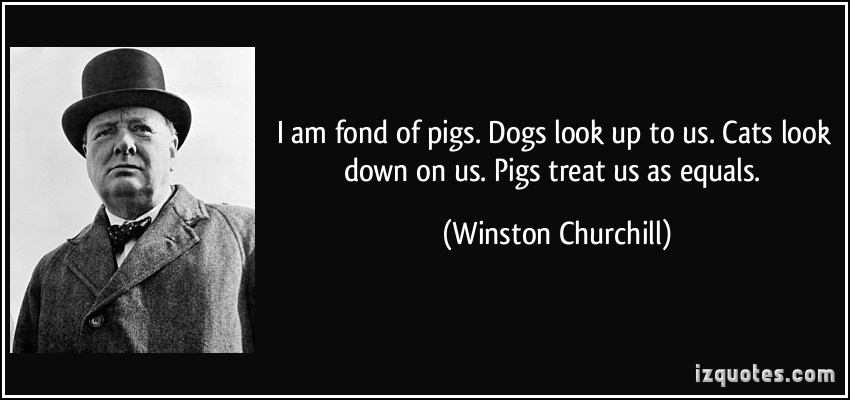 Pigs quote
