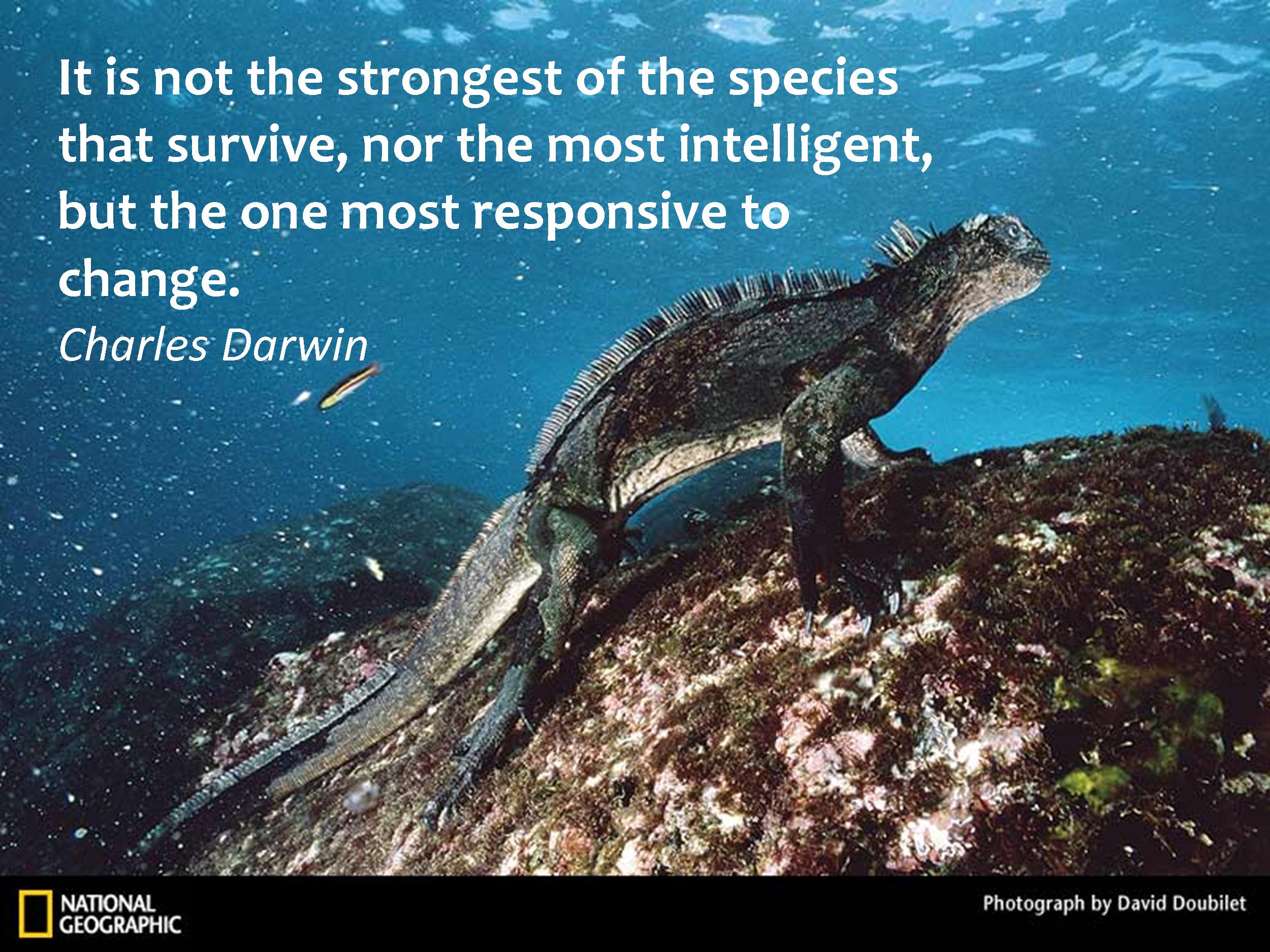 Resilient quote #4