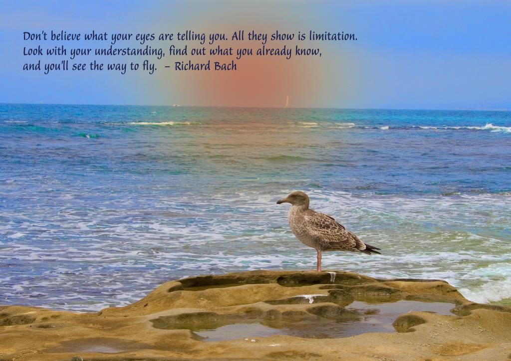 Richard Bach's quote #6