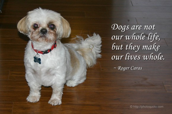 Roger Caras's quote #3
