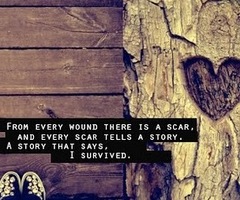 Scars quote #4