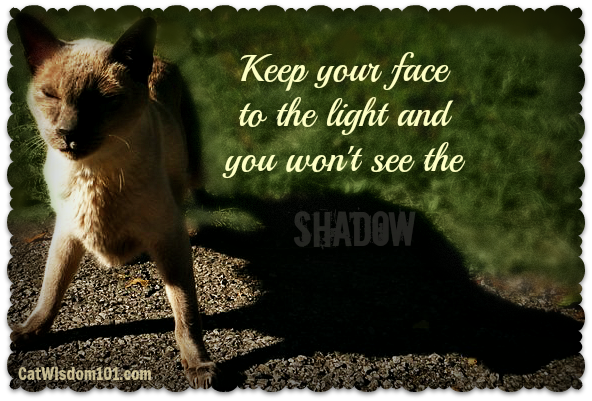 Shadow quote #2