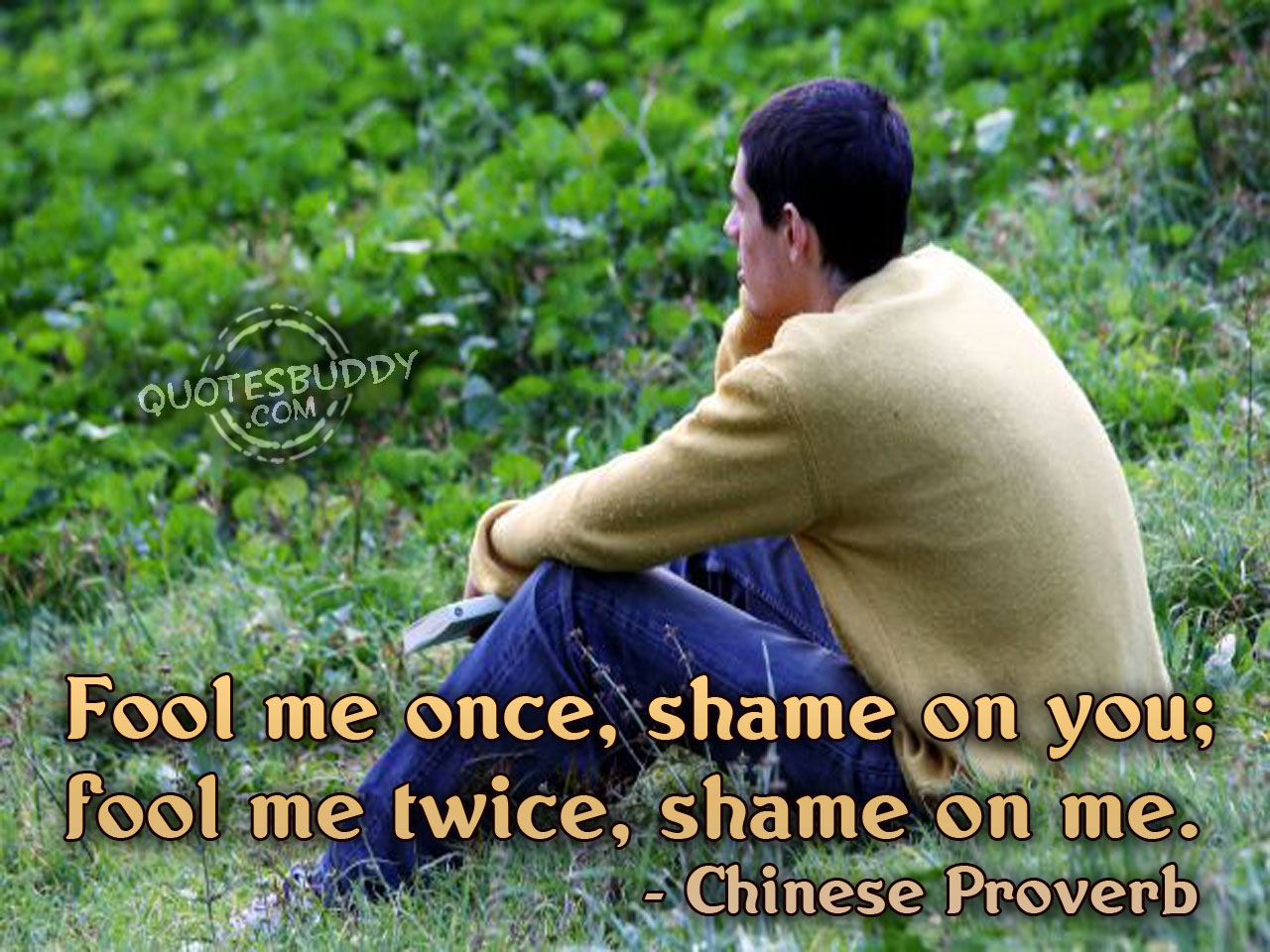 Shame quote #6