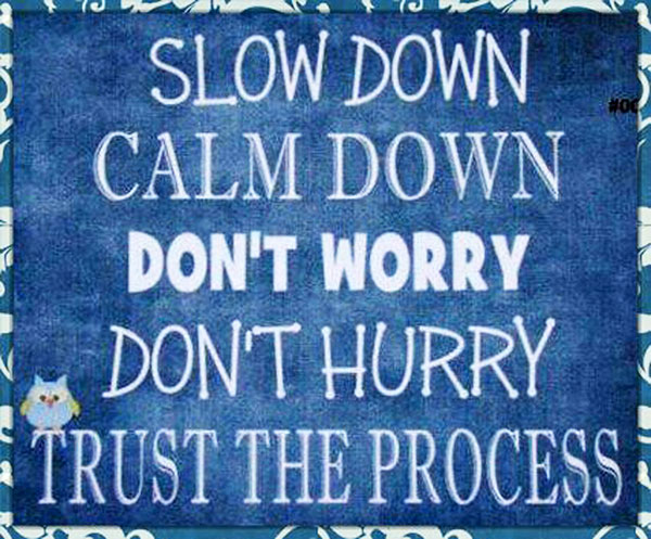 Slow Process quote