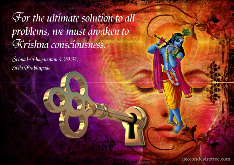 Solution quote #3