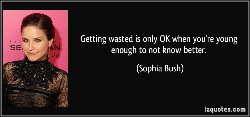 Sophia Bush's quotes, famous and not much - Sualci Quotes