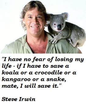 Steve Irwin's quote #7
