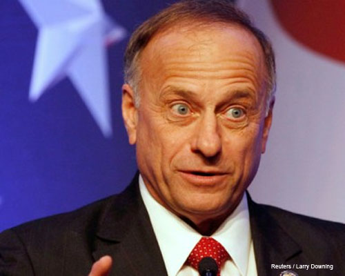 Steve King's quote