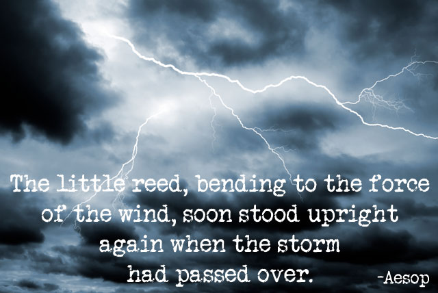 Storm quote #7