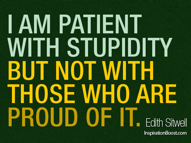 Stupidity quote #5