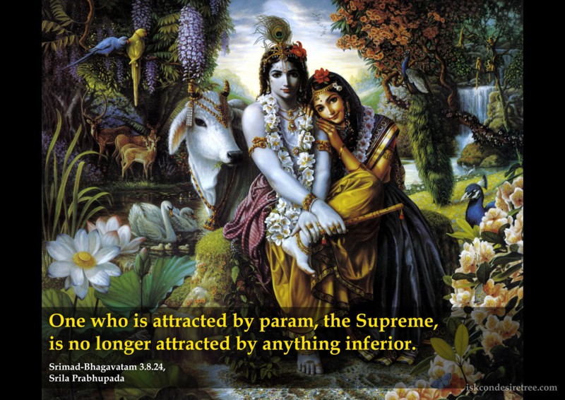 Supreme Being quote