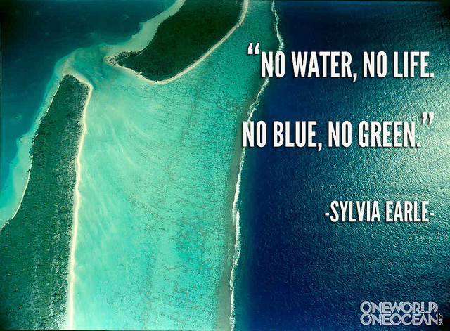 Sylvia Earle's quote #7