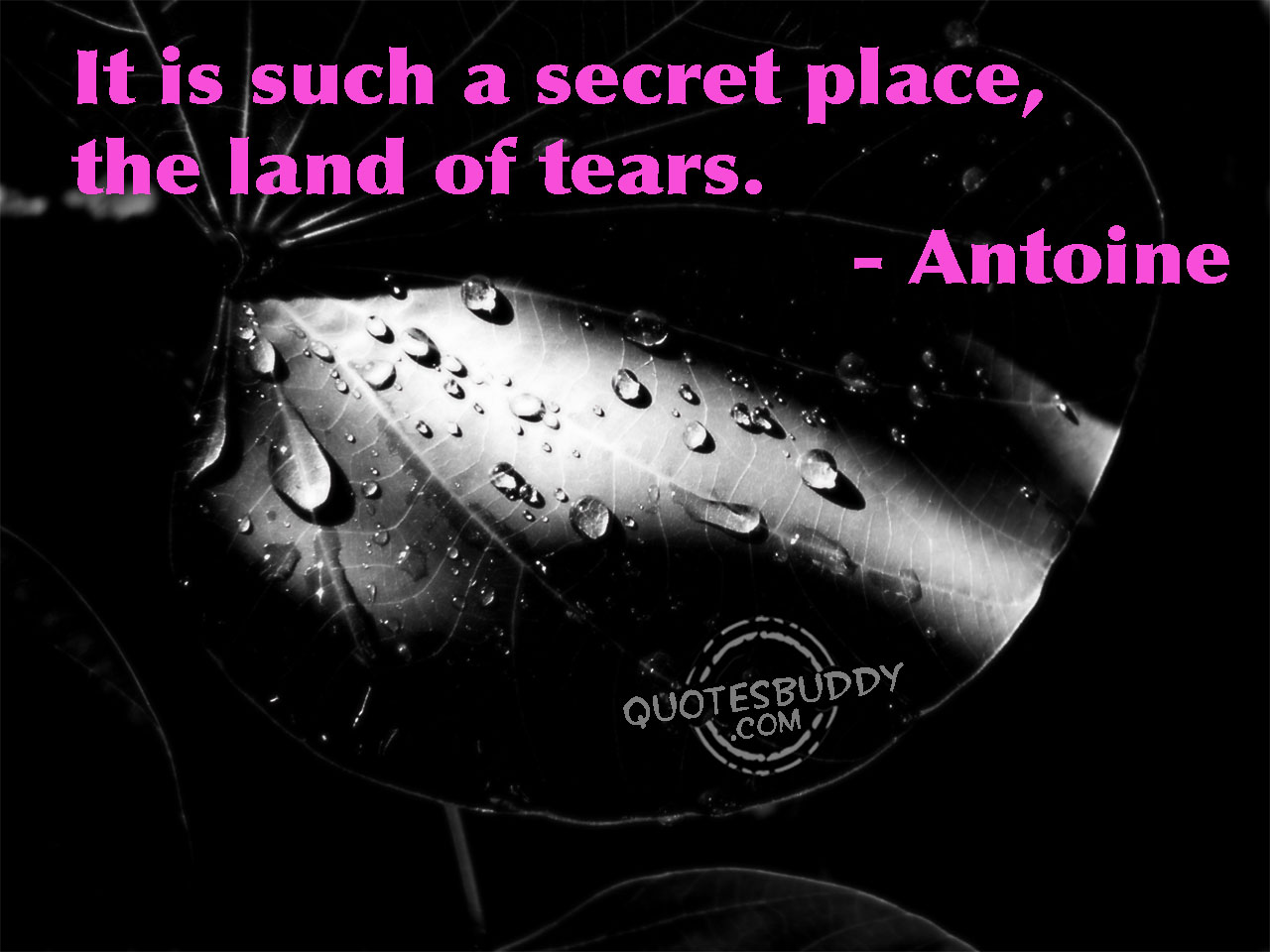 Tears quote #5