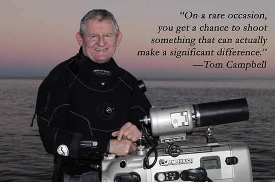 Thomas Campbell's quote #5