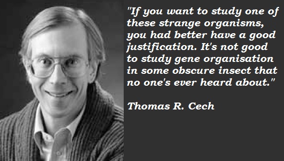 Thomas R. Cech's quote