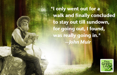Walking quote #7