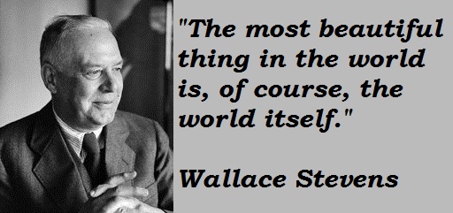 Image result for wallace stevens quotes