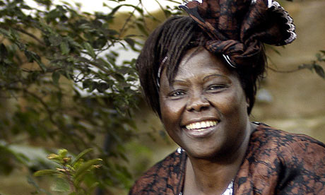 Wangari Maathai's quote #4